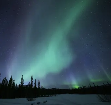 Aurora Borealis