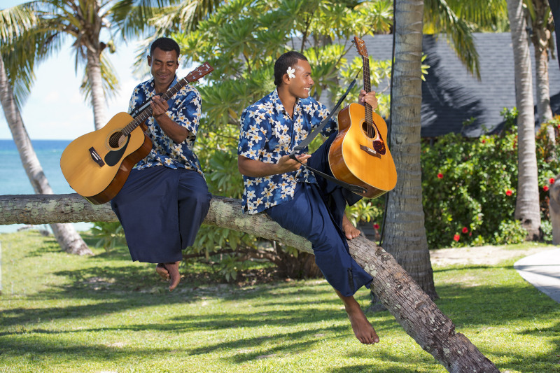 Serenaders in a coconut tree Tourism Fiji