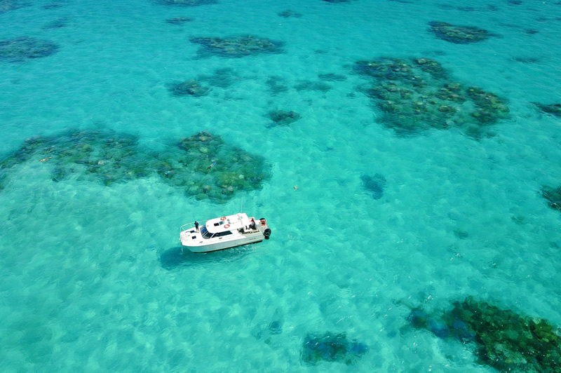 Orpheus Island Resort, Queensland