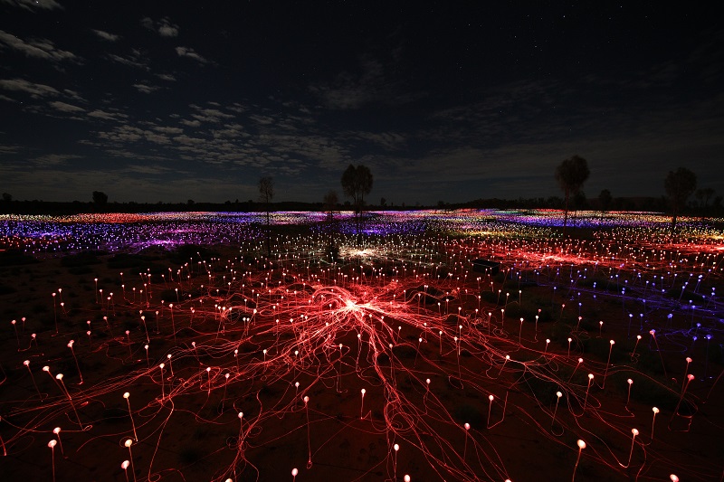 Field of Lights encompassing 50,000 spindles of light