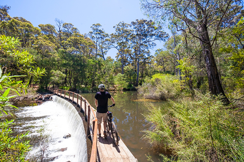 Mountain biking on The Pines Trails, Margaret River
