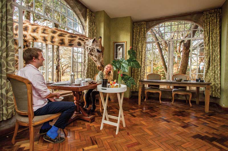 Giraffe Manor in Nairobi