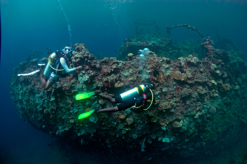 Dive beneath the surface in Solomon Islands Dive in Munda