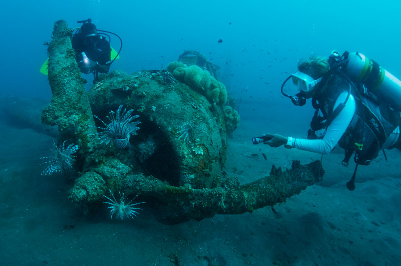 Exploring the wrecks in Solomons