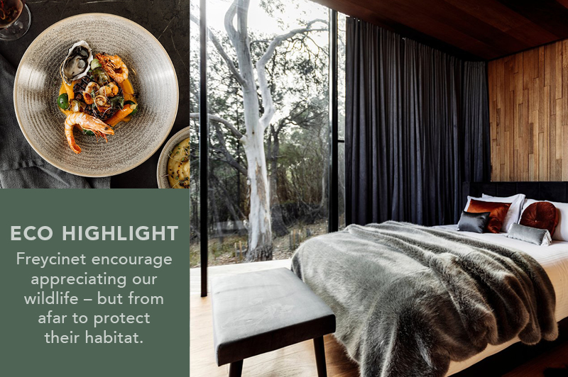 Freycinet Lodge