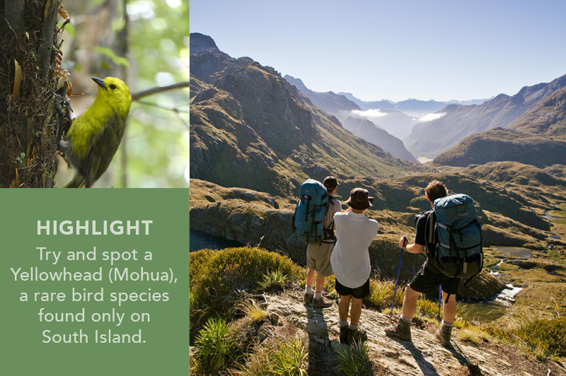 The Famous Routeburn Trail, NZ