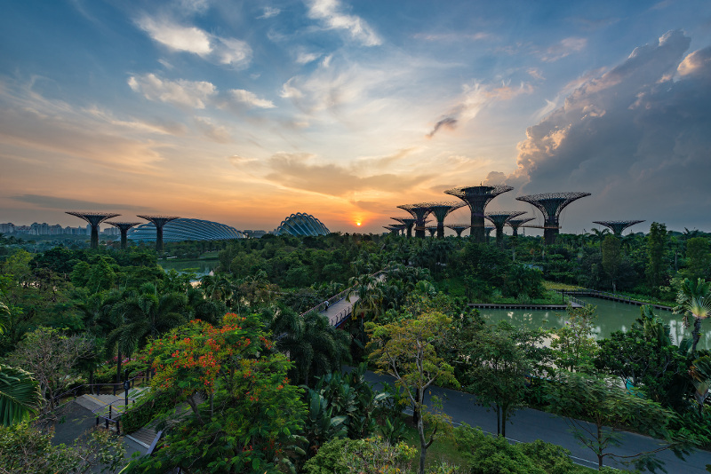 Singapore Botanical Gardens
