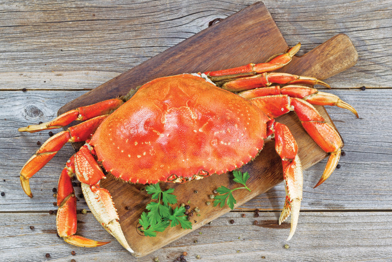 Dungeness Crab Oregon