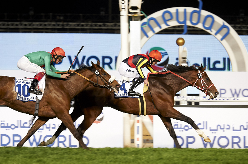 Horse crosses finish line at Dubai World Cup