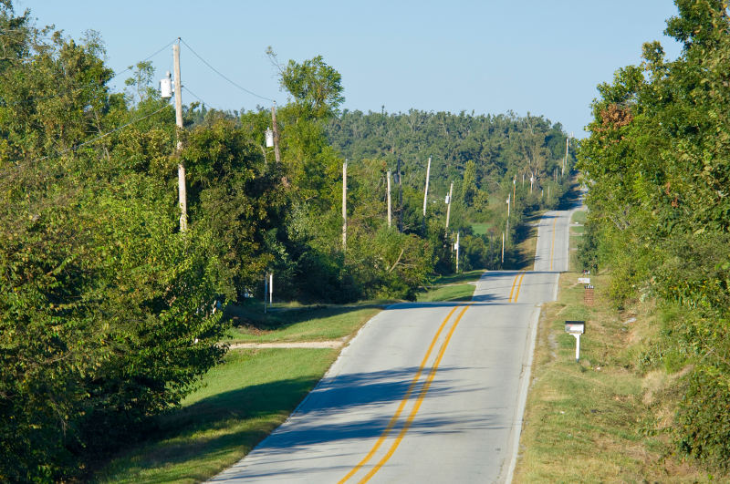 road leading through green trees