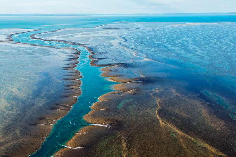 Montgomery Reef, Kimberley, Australia