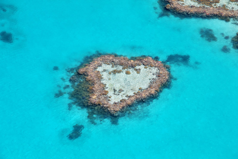 Heart Reef Queensland