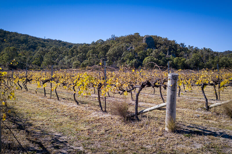 Winery and Granite Rock in Stanthorpe