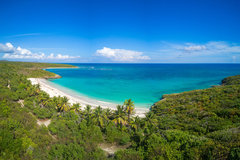 Island of Vieques