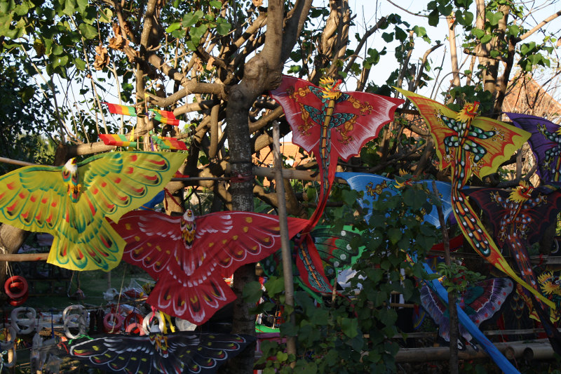 Kites in Bali