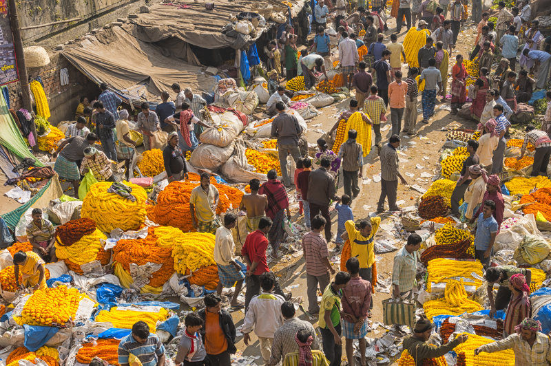 Kolkata Flower Market