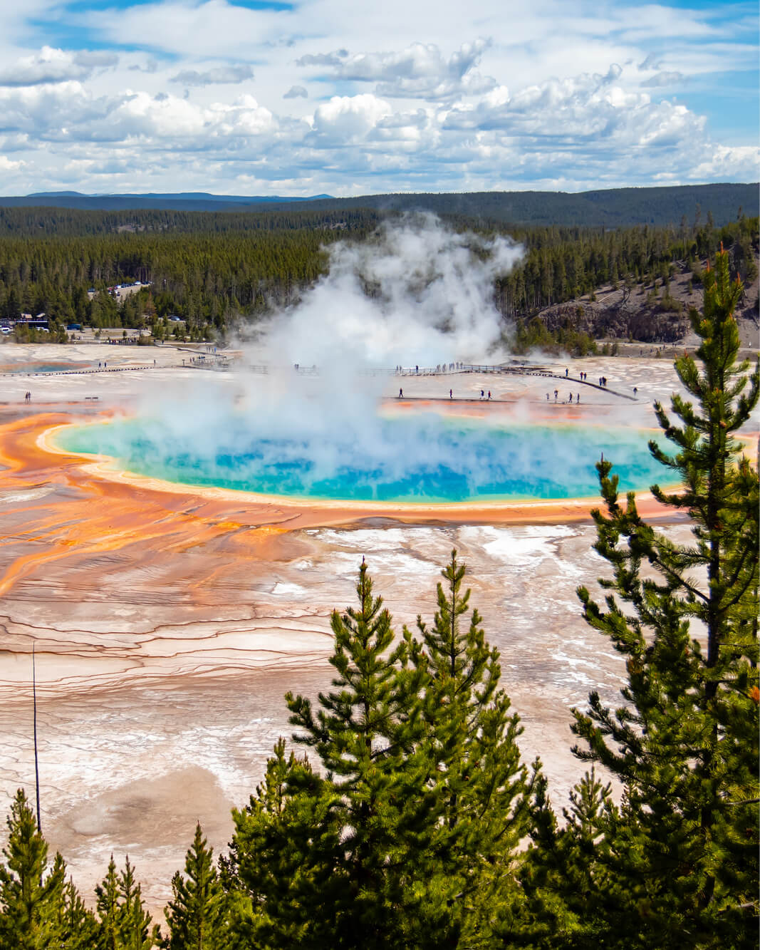 Grand Prismatic Spring, Yellowstone National Park - image