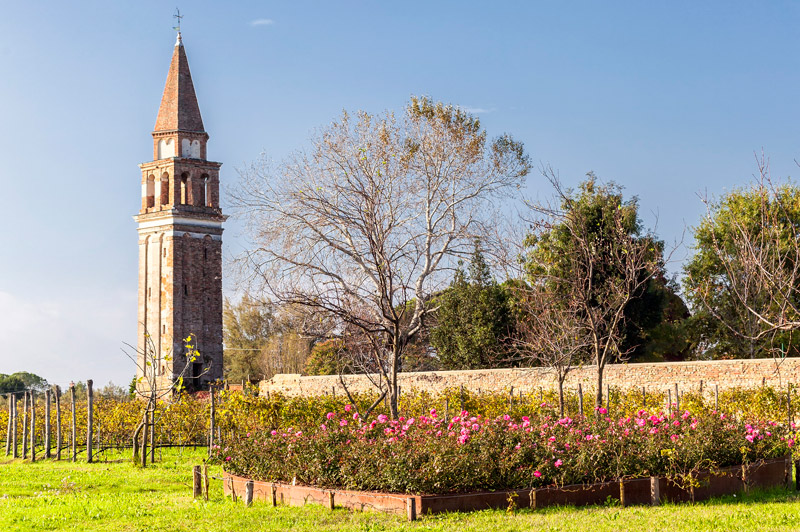 Explore the quaint Venetian island of Mazzorbo