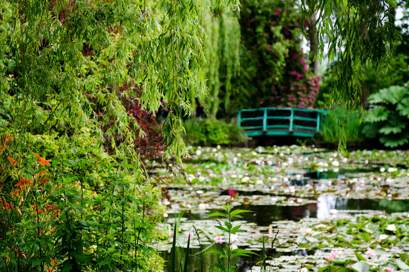 The Japanese bridge in Monet's garden
