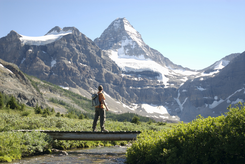 Mount Assiniboine Canadian Rockies