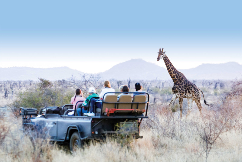 African safari