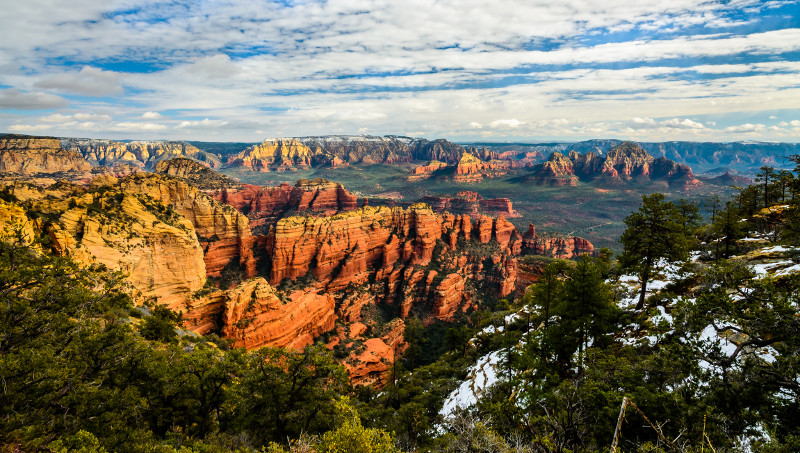 Sedona trees and sandstone towers