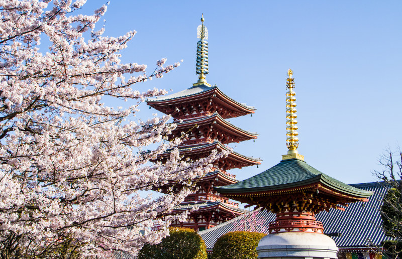 Sensoji Temple