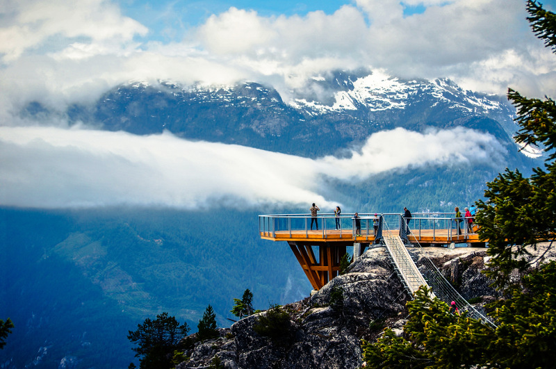 Beautiful lookout with background of snowy mountains and fir trees