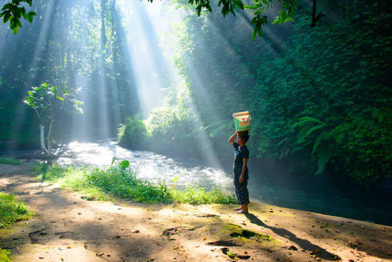 Sunshine through the trees in Balinese jungle