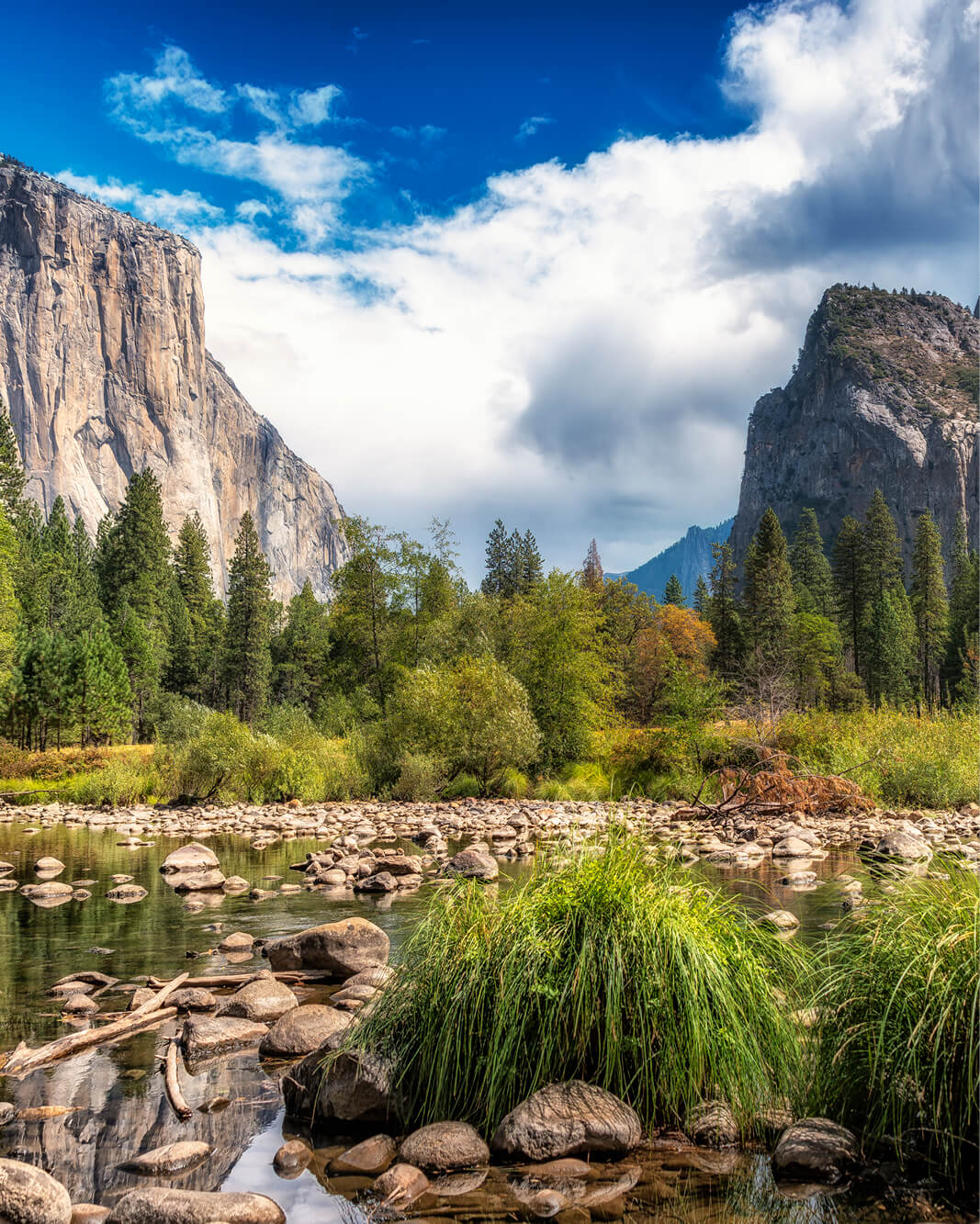 Yosemite National Park - Image