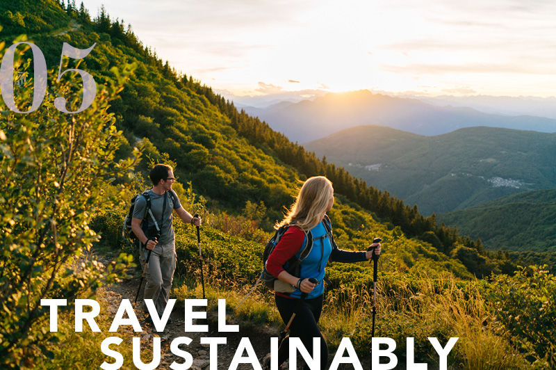 Travel Sustainably