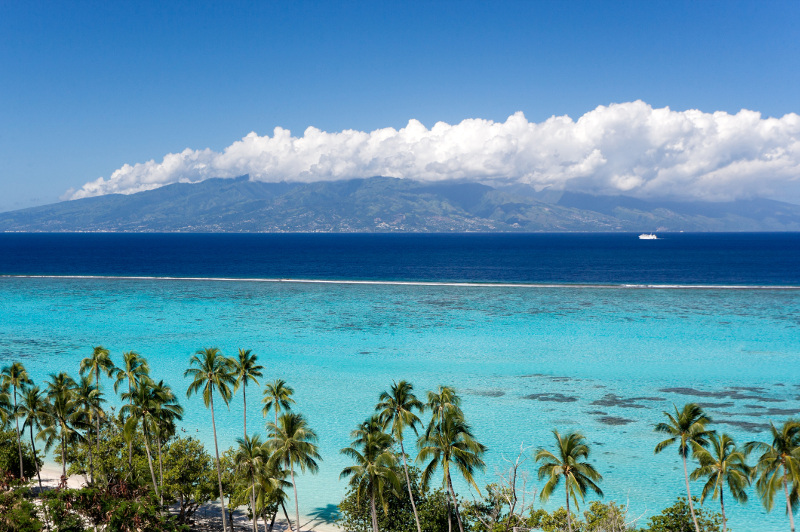 Pristine turquoise waters and palm trees at beach on Moorea Island