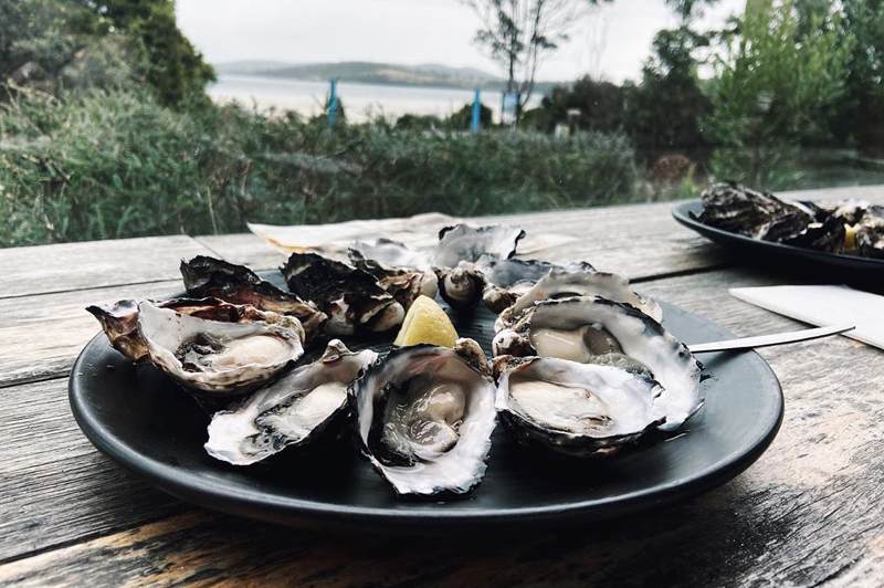 Get Shucked Oysters on Bruny Island, Tasmania (image credit @jellydhmin)