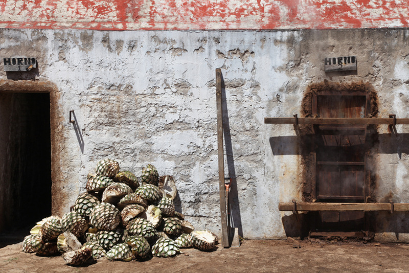 Tequila, Mexico