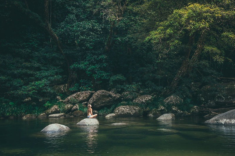 Daintree Rainforest