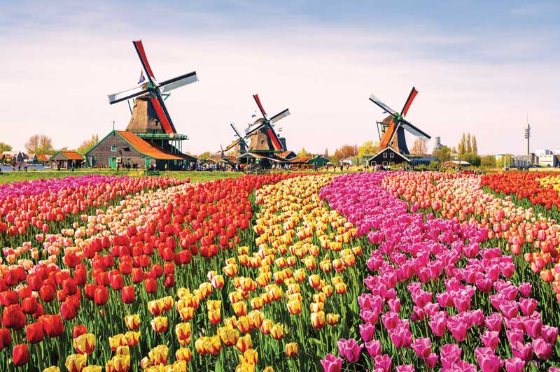 Tulip Festival, The Netherlands