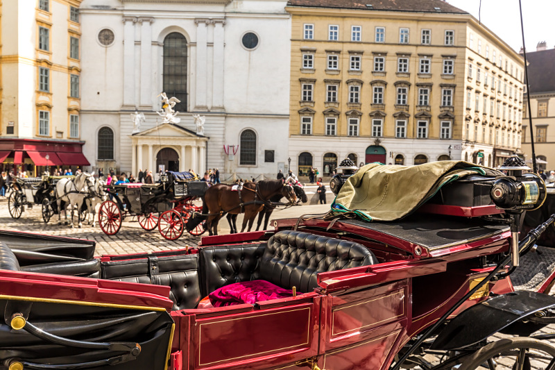 Vienna Horse and Carriage ride