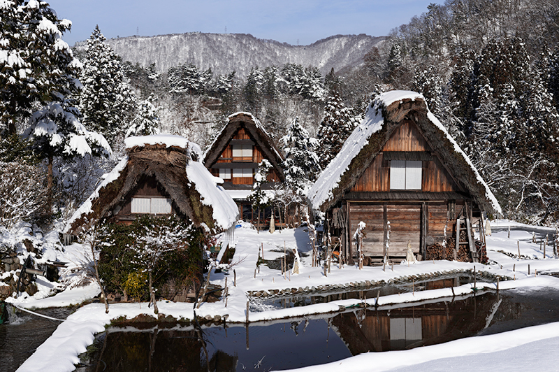 Shirakawago Farm Houses