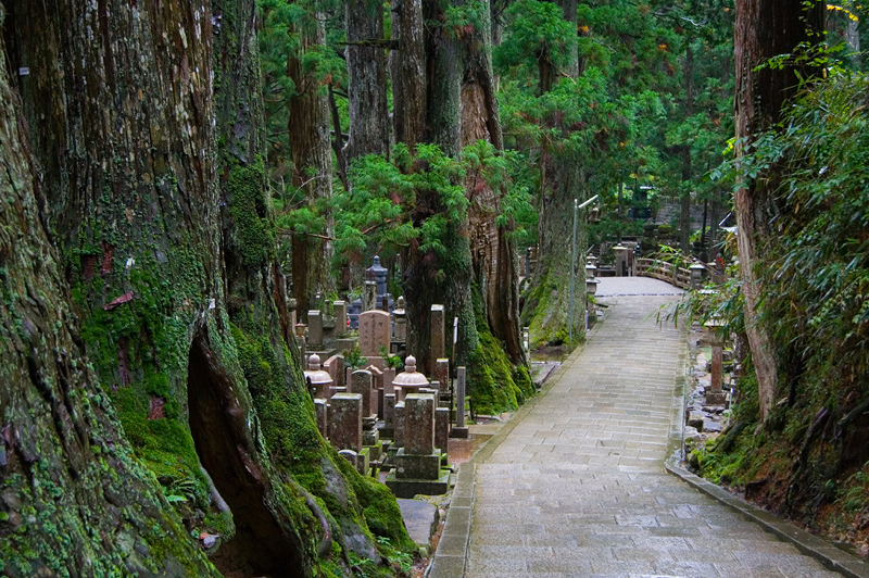 Okunoin Cemetery, Mount Koya