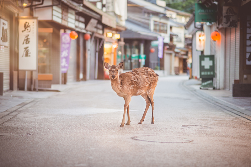 Miyajima, Old Town