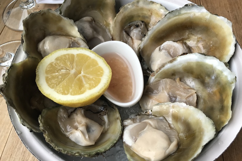 Bluff Oysters New Zealand