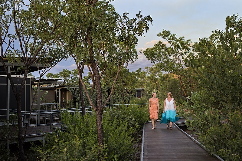 Native bush surrounding Cicada Lodge