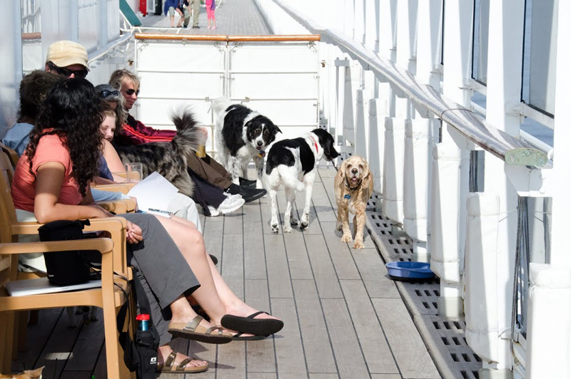 It's a Dog's Life on a Cunard Cruise 
