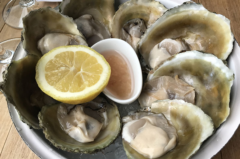 foodie bucket list bluff oysters nz