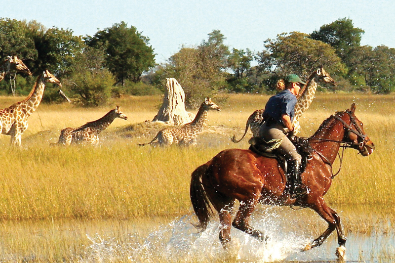 Okavanga Delta, Botswana