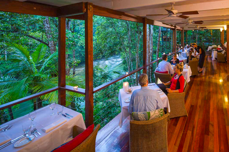 Treehouse Restaurant. Image courtesy of Silky Oaks Lodge.