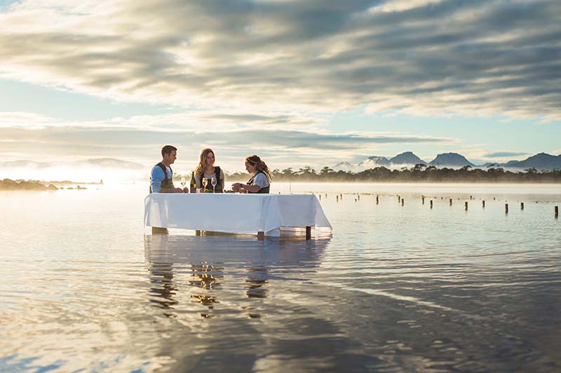 saffire freycinet oyster shucking