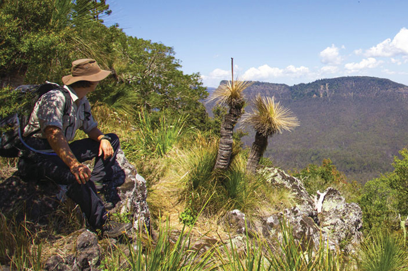 Scenic Rim Trail