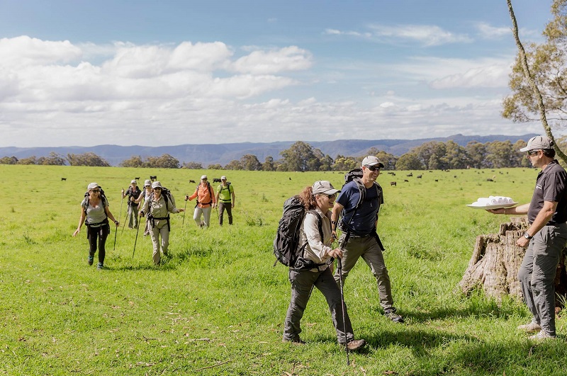 Scenic Rim Trail