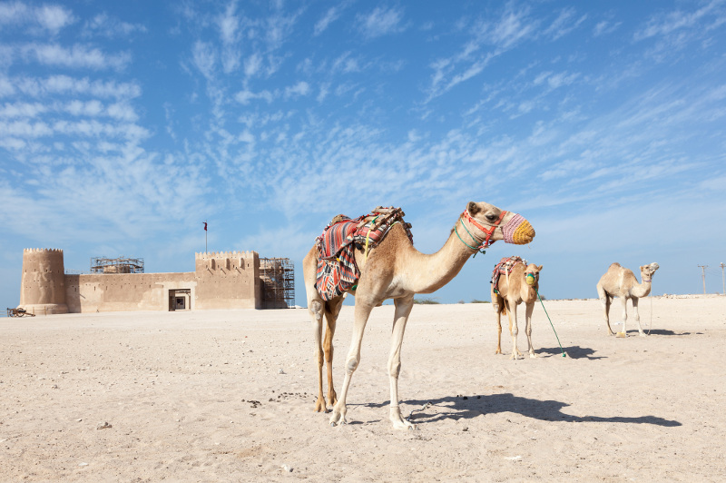 The fortified port of Al Zubarah.